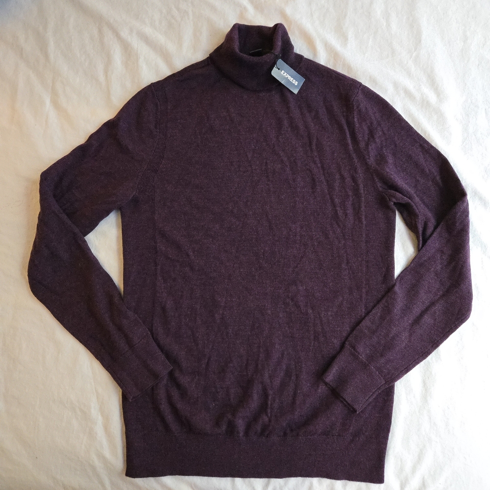 Express Rich Plum Turtleneck Sweater Merino Wool